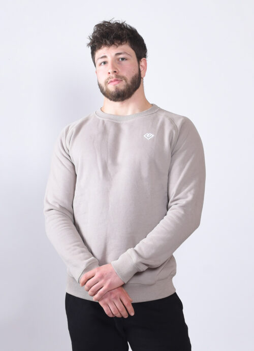 Sweatshirt grey 1 1200