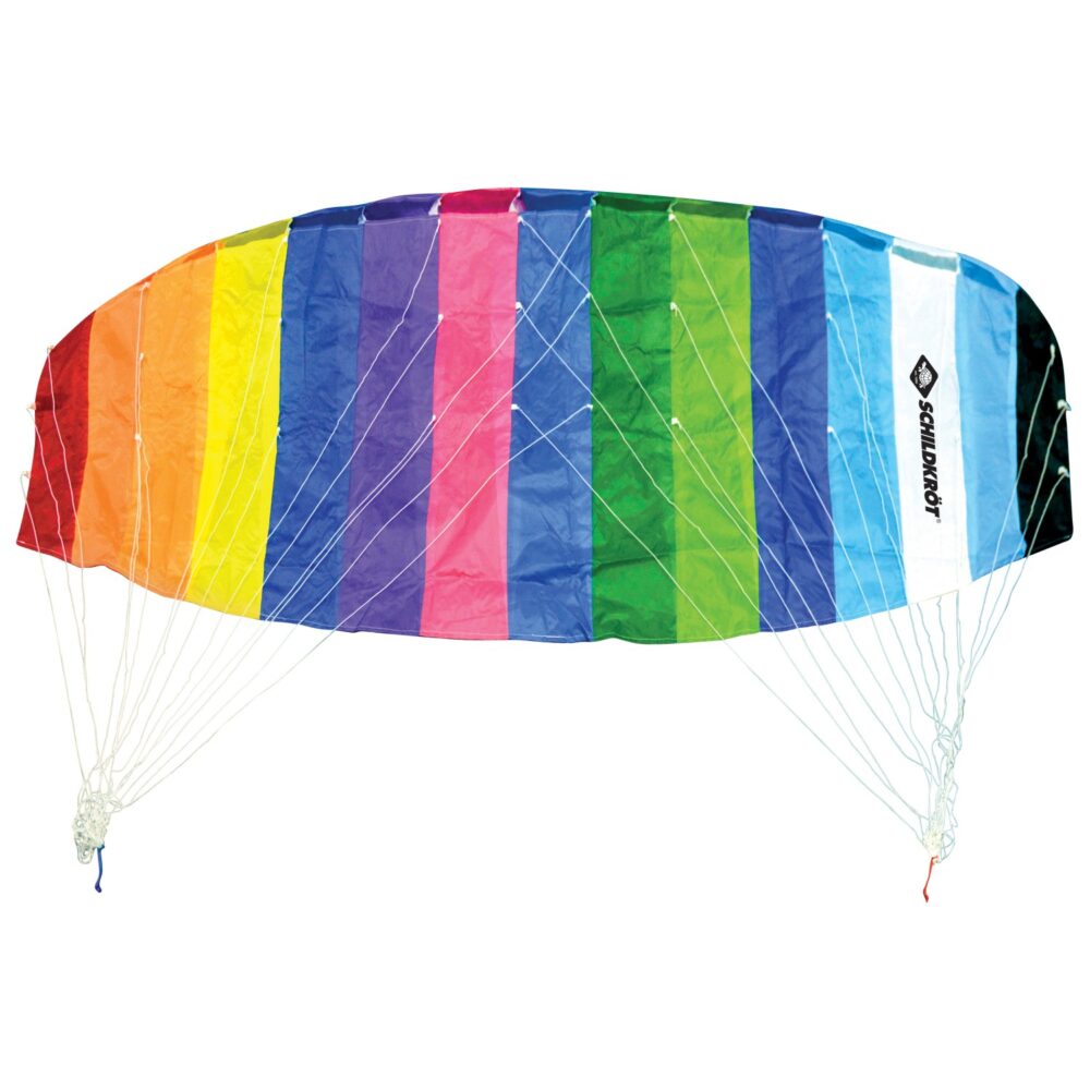 Dual Line Sport Kite Schildkrot Sportdrachen 70102