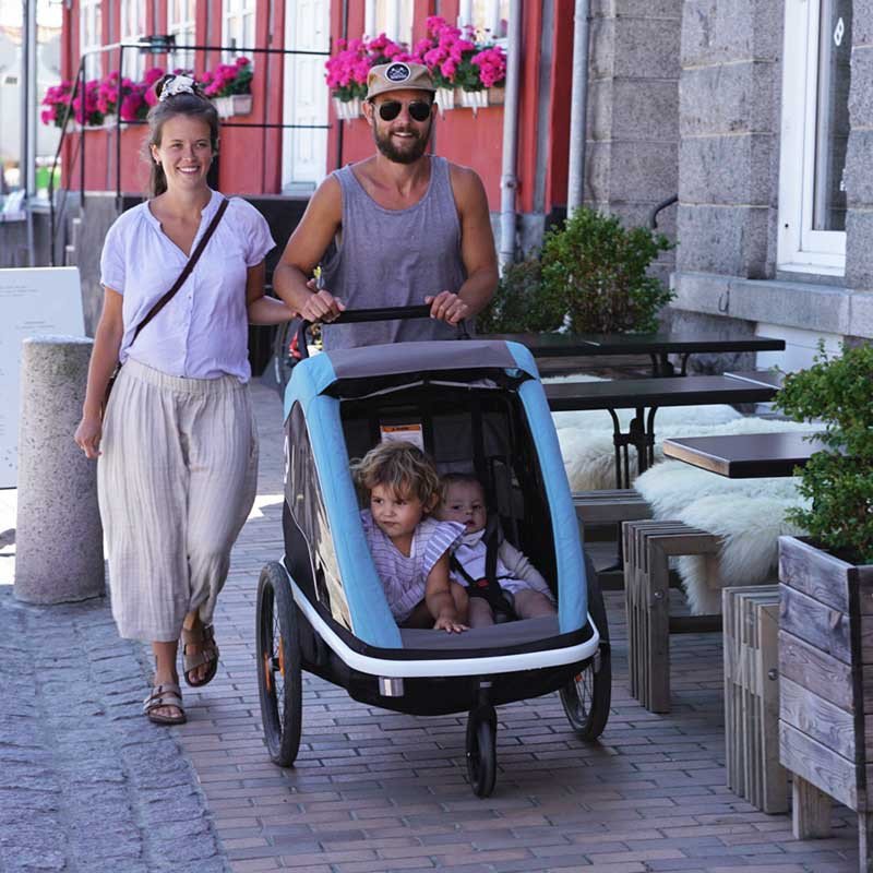 Fahrradanhänger mit Kinderwagen Avenida Hamax 91122