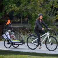 Fahrradanhänger mit Kinderwagen Breeze Hamax 43106