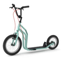 City RunRun Yedoo 2045 scooter for adults