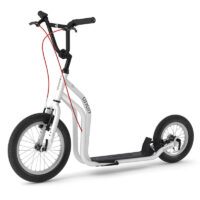 Trottinette pour adultes City RunRun Yedoo 30886