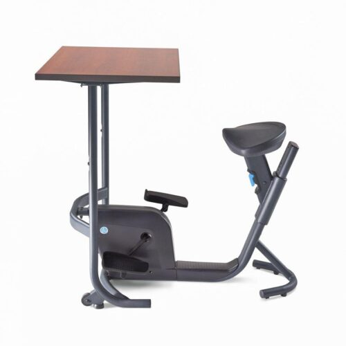 LifeSpan Unity LifeSpan Fitness cyclette da tavolo con piano di lavoro 28944