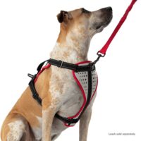 Dog harness K9 Serie Nathan 33775