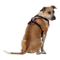 Dog harness K9 Serie Nathan 52410