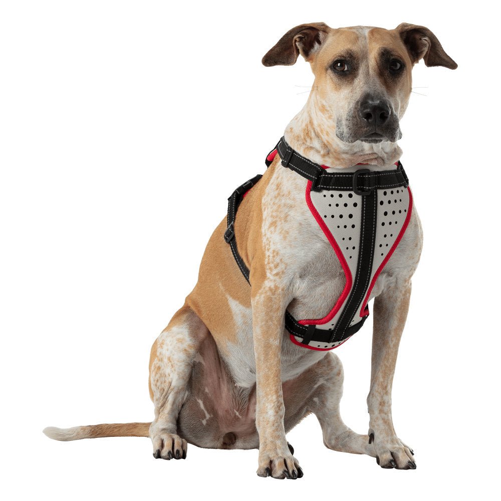 Dog harness K9 Serie Nathan 61026