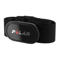 Ceinture capteur de frequence cardiaque H10 Polar 61914