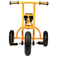 Rookie tricycle for 2 children Beleduc 50095