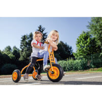 Beleduc Triciclo per 2 bambini 9802